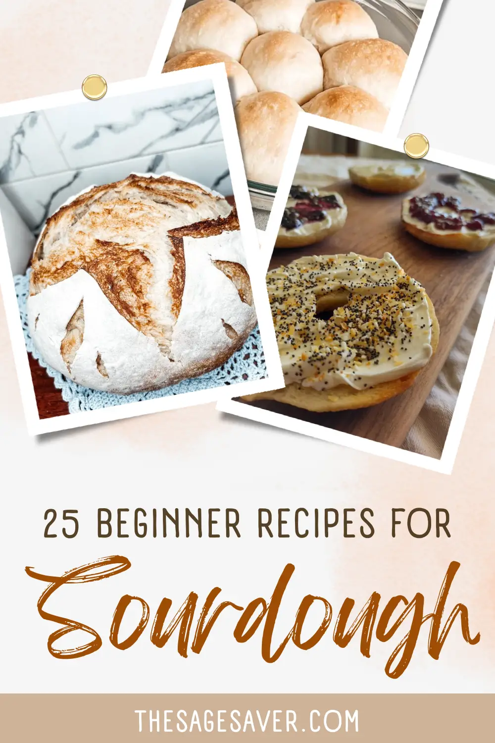 How to Make a Sourdough Starter and Sourdough Recipes